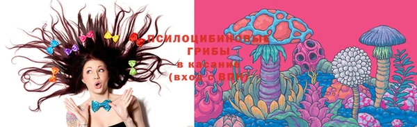 прущий лед Алексеевка